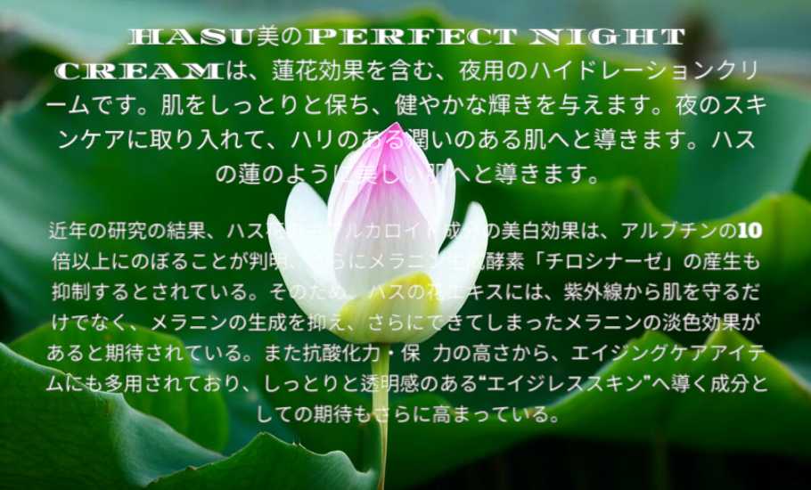 HASU美プライベートブランド　PERFECT NIGHT CREAM 初回限定　５０％OFF 先行100名